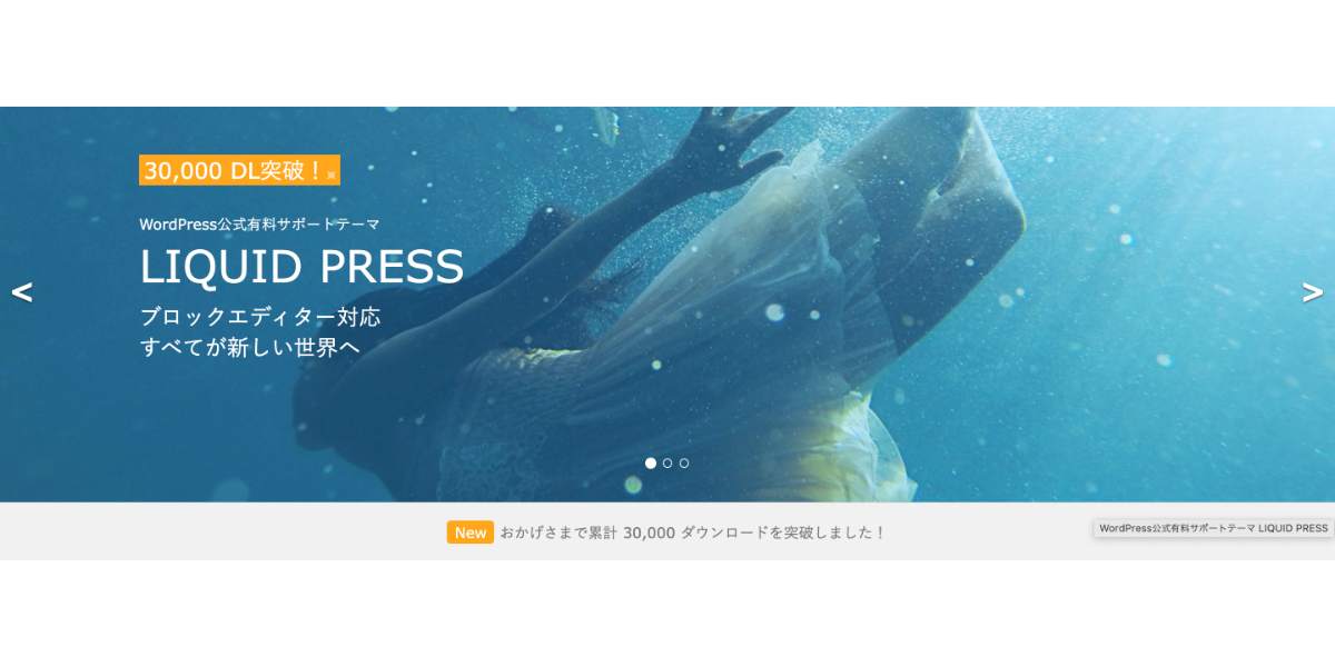 LIQUID PRESS 日本語対応高品質ワードプレステーマ